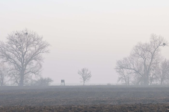 De volgende stap wandeling - januari