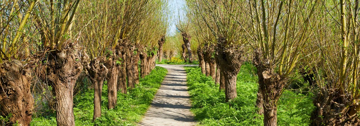 De volgende stap wandeling - maart