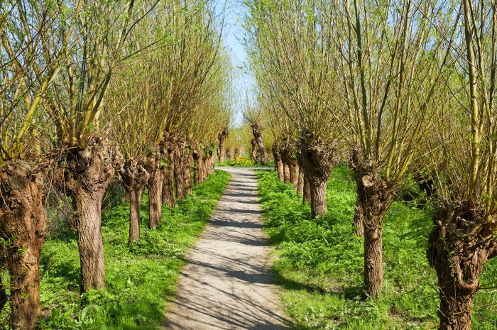 De volgende stap wandeling - maart